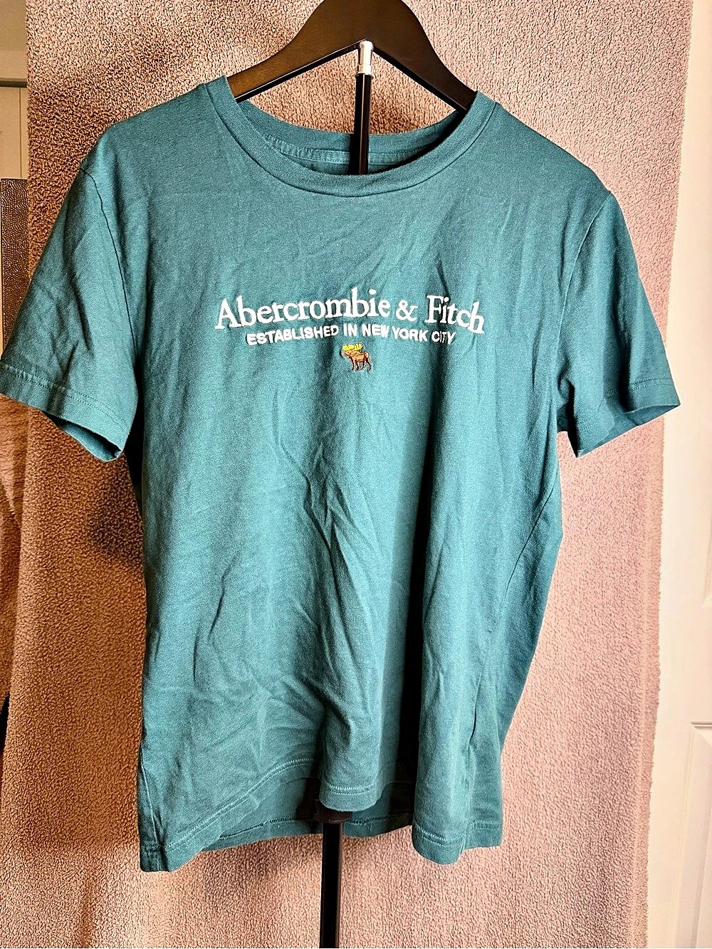 Abercrombie & Fitch Soft A&F Logo T Shirt Small Teal Embroidered Moose Y2K